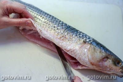 Жареная кефаль с овощным соусом Жареная кефаль с овощным соусом