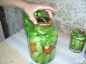 Консервированные огурцы Консервированные огурцы