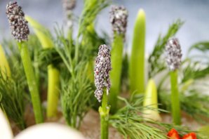 Заливное "Лебединое озеро" Заливное "Лебединое озеро"