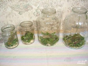 Консервированные огурцы Консервированные огурцы