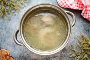 Харчо с гранатовым соком Харчо с гранатовым соком