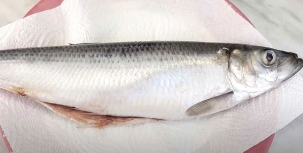 Селёдка солёная в домашних условиях очень вкусная
Селёдка солёная в домашних условиях очень вкусная