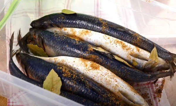 Селёдка солёная в домашних условиях очень вкусная
Селёдка солёная в домашних условиях очень вкусная