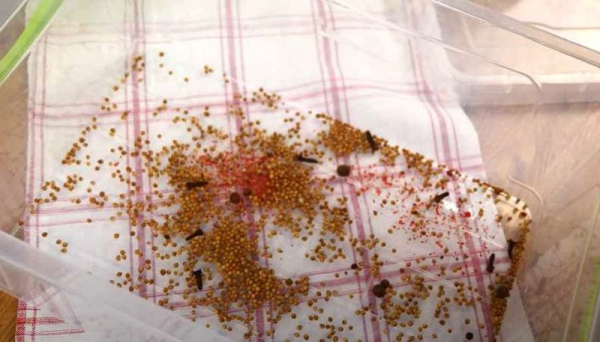 Селёдка солёная в домашних условиях очень вкусная
Селёдка солёная в домашних условиях очень вкусная