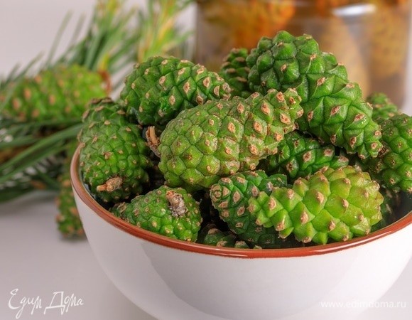 Дары природы: названы полезные лесные продукты, которые можно собрать весной Дары природы: названы полезные лесные продукты, которые можно собрать весной