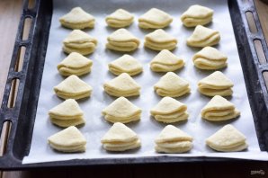 Шаники Шаники