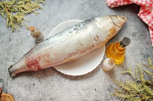 Соленый омуль Соленый омуль