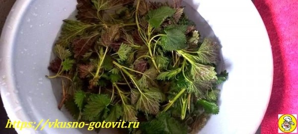 
Суп из крапивы с яйцом и картофелем – вкусный рецепт зелёного супа	