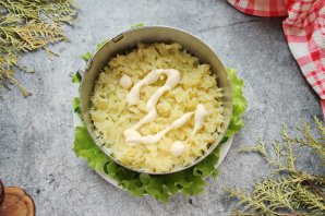 Салат с красной рыбой и креветками слоями Салат с красной рыбой и креветками слоями