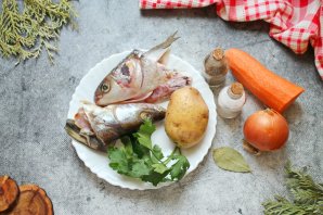 Уха из рыбных голов Уха из рыбных голов