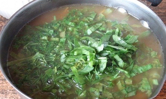 Как приготовить зеленый борщ со щавелем и яйцом — 6 простых рецептов с различными ингредиентами
Как приготовить зеленый борщ со щавелем и яйцом — 6 простых рецептов с различными ингредиентами