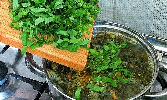 Как приготовить зеленый борщ со щавелем и яйцом — 6 простых рецептов с различными ингредиентами
Как приготовить зеленый борщ со щавелем и яйцом — 6 простых рецептов с различными ингредиентами