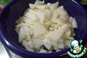 Рагу из индейки Рагу из индейки