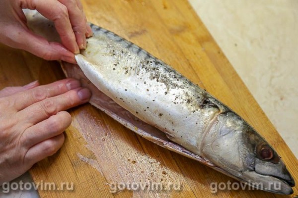 Фаршированная тыквой скумбрия, запеченная в пергаменте Фаршированная тыквой скумбрия, запеченная в пергаменте