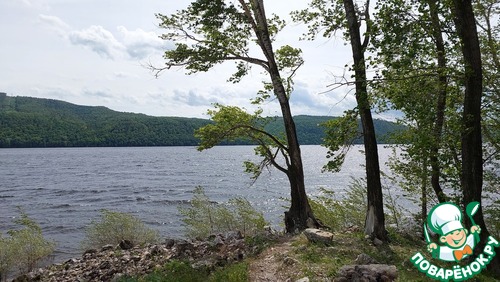 Морковные пироги с индейкой Морковные пироги с индейкой