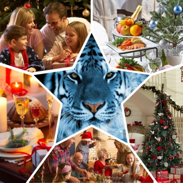 
Что приготовить на Новый 2024 год Дракона нового и интересного. Меню на новогодний стол	