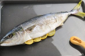 Лакедра в духовке Лакедра в духовке