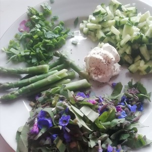 Салат "Весна на Алтае" Салат "Весна на Алтае"